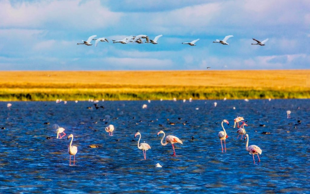 В Алматы открылась фотовыставка о кораллах и редких животных